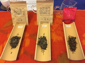 長江零公里的觀山茶會 以茶會友何嘗不是回歸生活的嘗試