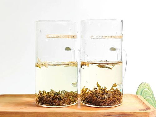 炒青與烘青茉莉花茶的對比,三萬昌碧螺茉莉對碧潭飄雪特級茉莉