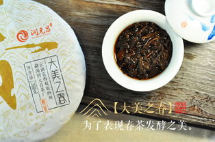 潤元昌精品普洱熟茶 春茶發酵的精粹之選